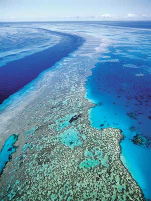 Agincourt Reef, Queensland, Australia